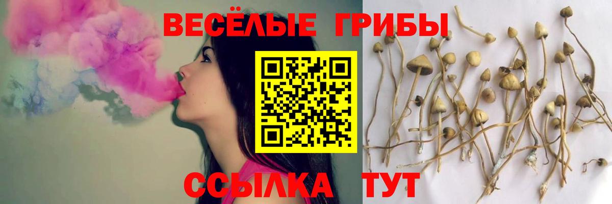Галлюциногенные грибы мухоморы  Псилоцибиновые грибы мицелий  цены   Мелеуз  Вход с VPN 